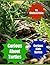 Curious About Turtles (Curious Kids Series)