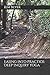 Easing into Practice: Deep Inquiry Yoga (The Easing Into Practice Collection)
