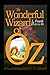 The Wonderful Wizard of OZ: a claasics 100th anniversary illustrated edition