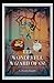 The Wonderful Wizard of OZ: a claasics 100th anniversary illustrated edition