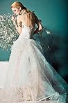 The Wedding Dress...