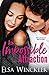 An Impossible Attraction (The Cavallo Brothers)