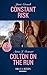 Constant Risk: Constant Risk (The Risk Series: A Bree and Tanner Thriller) / Colton on the Run (The Coltons of Roaring Springs) (Mills & Boon Heroes)