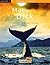 Moby Dick (Colección Kalafate) (Spanish Edition)