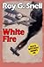 White Fire (Boys Mystery Series, Book 5)