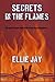 Secrets in the Flames (Secrets #3)