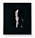 Ralph Gibson. Nude, Art Edition No. 1–100 'Chicago Nude'