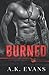 Burned (Cunningham Security, #5)