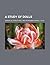 A Study of Dolls by G. Stanley Hall