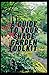 A Guide To Your Shade Garden ToolKit: Designs Ideas And Toolkit To Make Shade Gardening