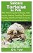 Sulcata Tortoise as Pets: T...