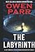 The Labyrinth: A Joey Mancuso, Father O'Brian Crime Mystery Book 8