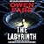 The Labyrinth (Joey Mancuso, Father O'brian Crime Mysteries, 8)