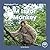 M Is for Monkey