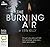 The Burning Air