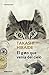 El gato que venía del cielo / The Guest Cat (Spanish Edition)