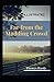 Far from the Madding Crowd Illustrated