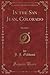 In the San Juan, Colorado (Classic Reprint): Sketches