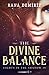 LIGHTS IN THE SHADOW IV: THE DIVINE BALANCE