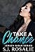 Take a Chance: A Steamy Single Dad and Nanny, Love Triangle Romance (Jersey Girls Series, Book 1)