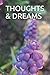 THOUGHTS & DREAMS