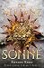 Die Allianz der Sonne Band 1 (Die Allianz der Sonne, #1)