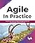 AGILE in Practice: Practical Use-cases on Project Management Methods including Agile, Kanban and Scrum (English Edition)