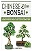 CHINESE ELM BONSAI: The Def...