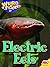 Electric Eels