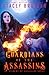 Guardians of the Assassins (An Academy of Assassins Novel)