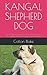 KANGAL SHEPHERD DOG: The De...
