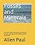 Fossils and Minerals: Common fossils described and pictured, minerals and gems with chakra powers mentioned