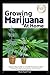 GROWING MARIJUANA AT HOME: ...
