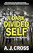 A Dark, Divided Self (Will Traynor #3)
