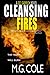 Cleansing Fires (DCI Garrick #5)