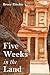 Five Weeks in the Land