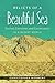 Relicts of a Beautiful Sea: Survival, Extinction, and Conservation in a Desert World