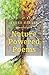 Nature Powered Poems