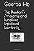 The Dantian’s Anatomy and Functions Explained Medically