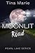 Moonlit Road: An Action and Adventure Romantic Suspen
