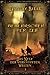 Beherrscher der Zeit (Das Netz der verknüpften Welten Buch 1): LitRPG-Serie (German Edition)
