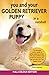 You and Your Golden Retriever Puppy in a Nutshell: FULL COLOUR VERSION: The essential owners’ guide to perfect puppy parenting – with easy-to-follow ... arrival. (You and Your Puppy in a Nutshell)
