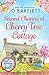 Second Chances at Cherry Tree Cottage by Jo Bartlett