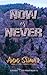 NOW OR NEVER: (A Fossil, Colorado Book #4)
