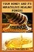 YOUR HONEY AND ITS MIRACULOUS HEALING POWERS: A complete guide with remedies and recipes for permanent weight loss, detox and beauty