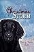 Christmas Storm: A Longview Romance