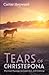 Tears of Christepona: Mystical Musings on Grief, Evil, and Godding
