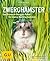 Zwerghamster: Das Rundum-Sorglos-Paket für kleine Nachtschwärmer
