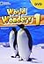 World Wonders 1: DVD