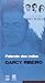 Falando Dos Índios - Volume 5. Coleção Darcy No Bolso